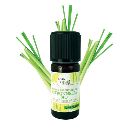 Huile essentielle Citronnelle Certifiée Bio-0